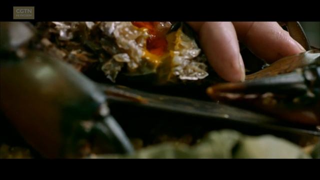 Вкус китайского Нового года смотреть онлайн
