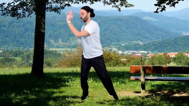 Tai Chi Qigong Eighteen Movements (Shibashi)
