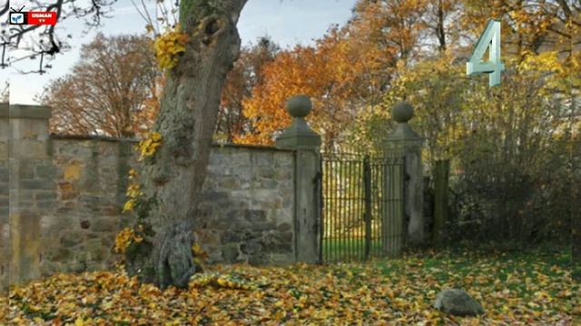 picture Puzzles | picture puzzle with answerpicture puzzles with answers | puzzle | rebus puzzle смотреть онлайн