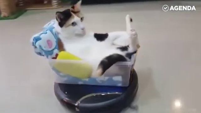 Поздравления с днем победы смотреть онлайн