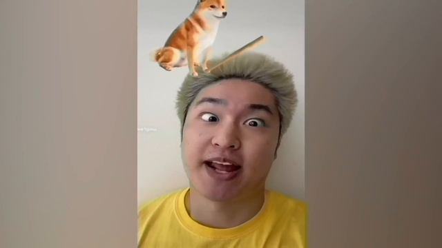 CRAZIEST Sagawa1gou Funny TikTok Compilation | Try Not To Laugh Watching Cactus Dance Challenge 202 смотреть онлайн