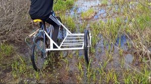 СТАНТ на велосипеде с люлькой