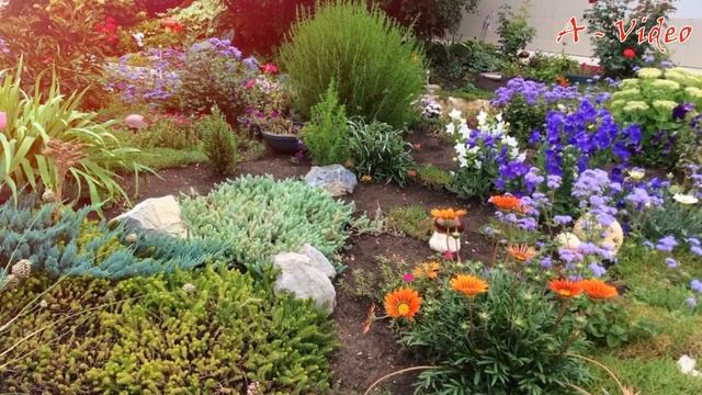 ?50+Лучших идей для ландшафтного дизайна / Best Landscape Design Ideas / A - Video