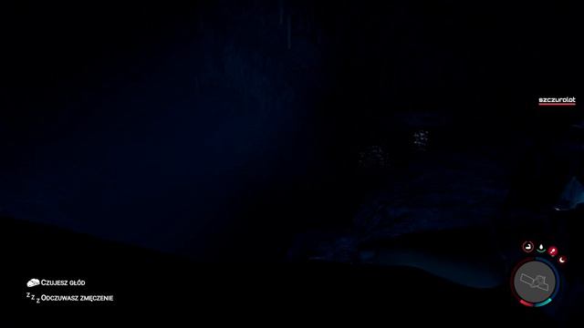 Zdobyłem Aqualung [HARD] | Sons of The Forest #10| Odc:10 ze @szczurolot 4K60FPS смотреть онлайн