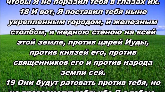 Тихое время с Живой Жизнью: Иеремия 1:11‒19 (12052019) смотреть онлайн