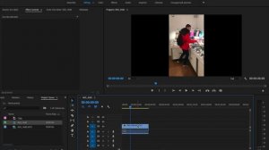 Как редактировать вертиклальное видео в Adobe Premiere Pro? (обработка вертикального клипа)