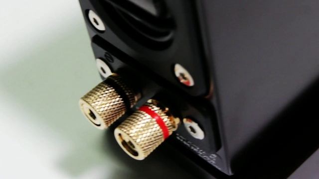 CẬN CẢNH DÒNG LOA MÀNG GỖ NHỎ NHẤT THẾ GIỚI | Loa màng gỗ EX-NW1 смотреть онлайн