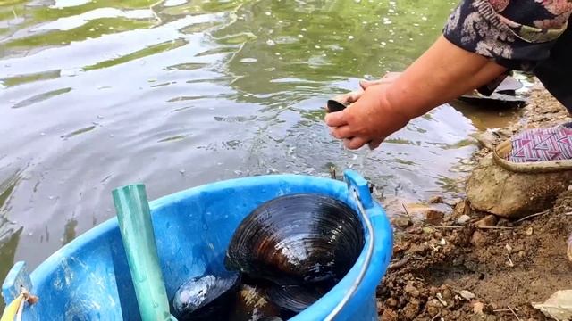 Hunt pearl snails. This giant 18-year-old snail is delicious and has pearls смотреть онлайн