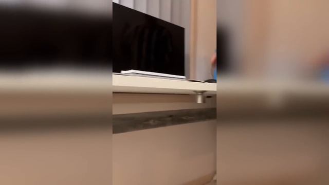 247. HFM COUB BEST CUBE Coub Приколы 2024 entertainment show, video collection from all over the wor смотреть онлайн