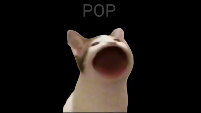 "Pop cat" fun game смотреть онлайн