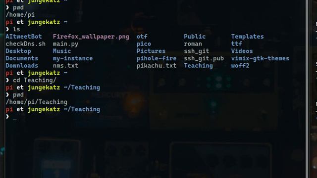 Linux Terminal Toutorial - pwd, touch, cd , cat смотреть онлайн