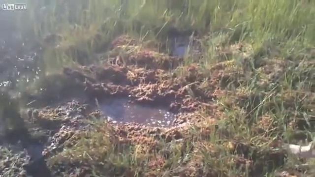 Портал в Нарнию найден в России. смотреть онлайн