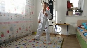 Удары руками со стойки гунун соги