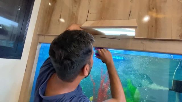 Sb Animals Ko Bahir Le Aiy Or Nam Bhi Rkh lye😍 смотреть онлайн