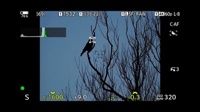 OM SYSTEM OM-1 Mark II | A lightweight flagship camera perfect for wildlife stills & video смотреть онлайн