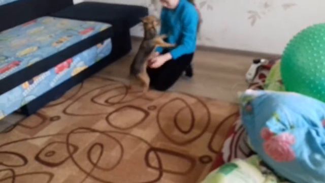 Спасите помогите смотреть онлайн