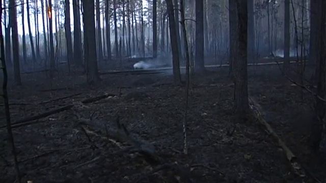 Последствия лесного пожара смотреть онлайн