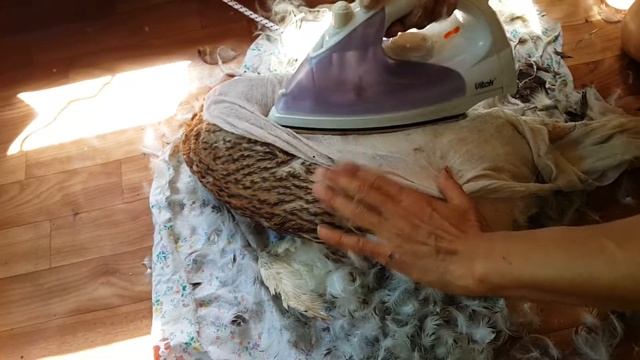 Ощипывание утки утюгом на сухую. смотреть онлайн