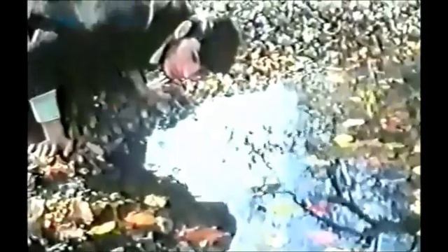 Talış Mahnısı Талышская песня  آهنگ تالشی  