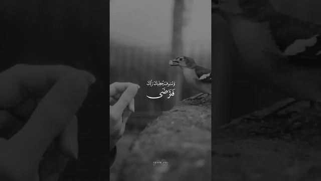 Мусулманские обои для телефон Islam
Самые красивые мусулманские обои в мире ??? смотреть онлайн