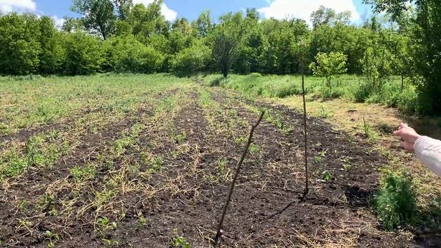 #1 КУПИЛИ ДОМ НА ХУТОРЕ / ПЕРЕЕЗД НА ЮГ смотреть онлайн