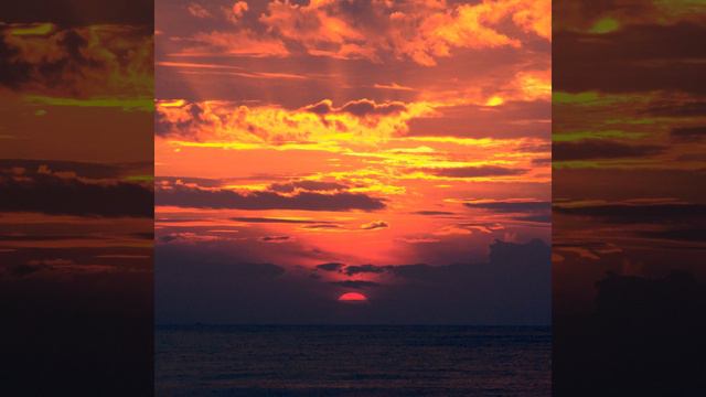 The Quaint Game Hall смотреть онлайн