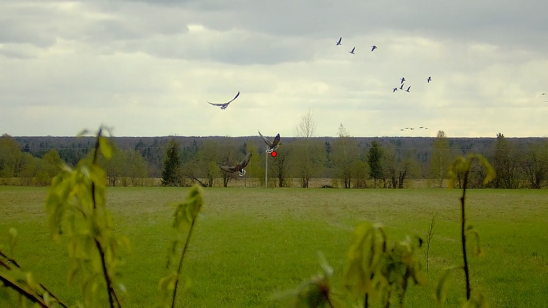 Точные выстрелы снятые на Шоткам #6 \ Shotkam gen 4 смотреть онлайн