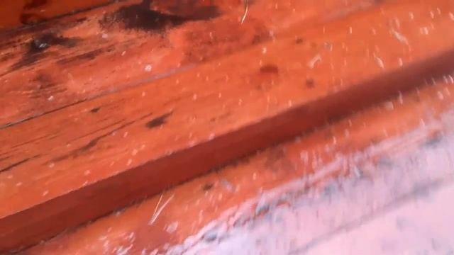 #Влог#Выходные на даче#Аномальный июнь#Звуки природы и пение птиц смотреть онлайн