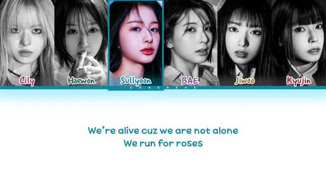 Run For Roses Lyrics