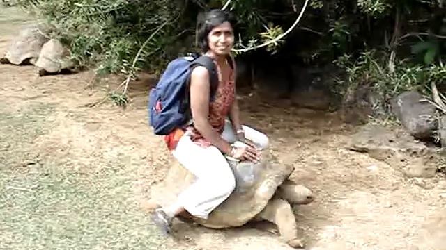 tortoise ride savita Катание на черепахе смотреть онлайн