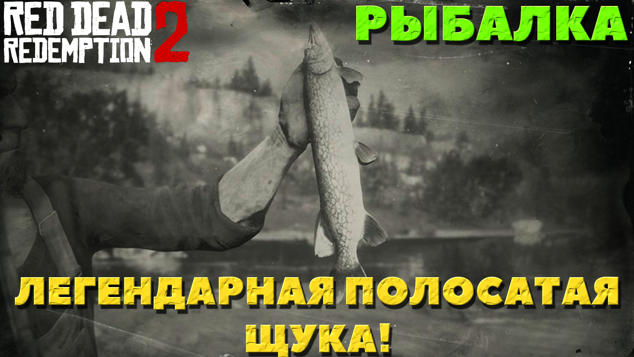 Red Dead Redemption 2 - ✔️Рыбалка. Легендарная полосатая щука. Как поймать!