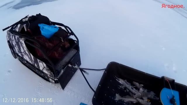 Ловля судака и берша в .Ягодном ! Super fishing for perch ! смотреть онлайн