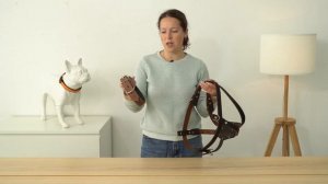 ОШЕЙНИК ИЛИ ШЛЕЙКА? ЧТО ВЫБРАТЬ ДЛЯ ПРОГУЛОК С СОБАКОЙ?