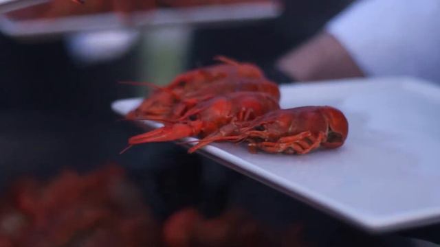 Летний гастрофест "Раки и не только" смотреть онлайн