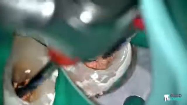 FATH UDG FILES смотреть онлайн