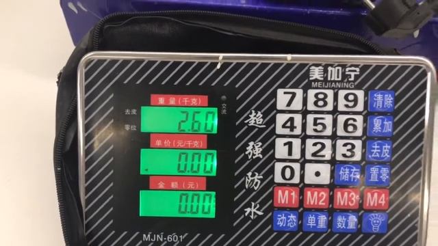 Golden Elephant ZX7 250 MINI