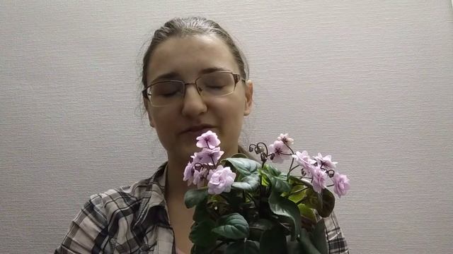 Мої трейлерочки, трейлерні міні сенполії смотреть онлайн