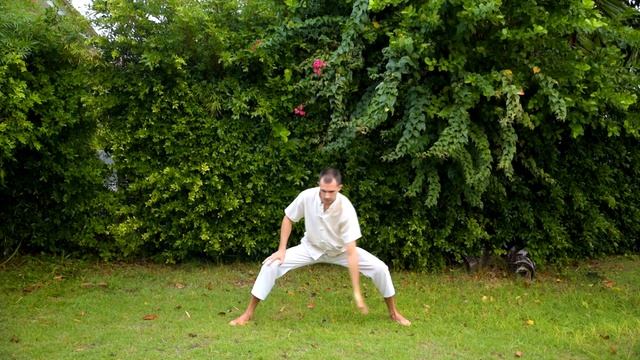 Цигун для зимы. Цигун для начинающих. Уроки цигун.