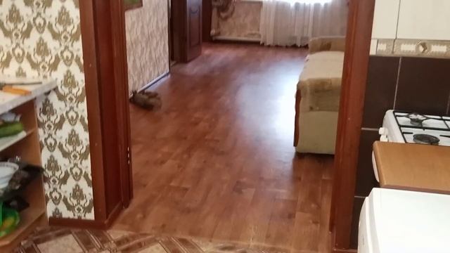 только на пороге берет шишку смотреть онлайн