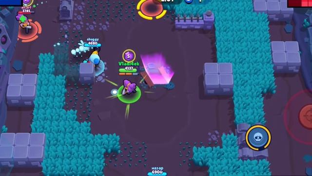 Шелли умеет только побеждать - Веселый монтаж - Бравл старс смотреть онлайн