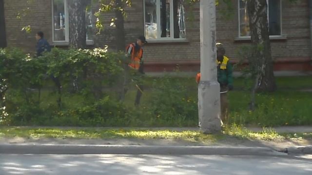 Типичный Академгородок. Новосибирск