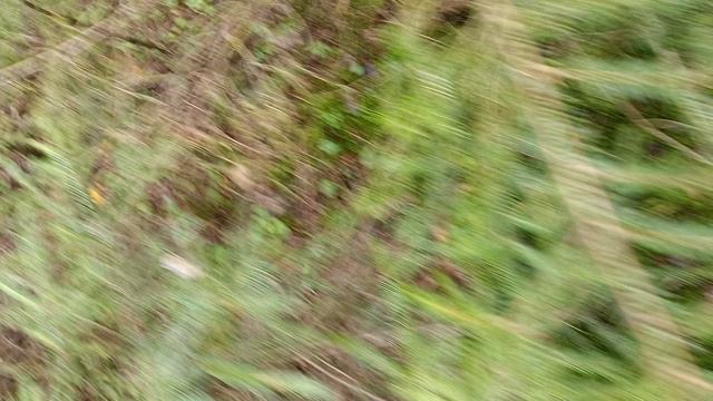 D8e0efd9-8646-485b-a34a-33c565825c11-1_all_2723.mp4