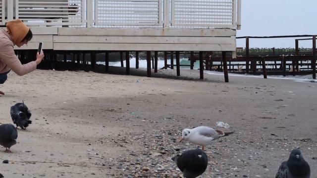 ОДЕССА 2021 Аркадия / Тишина и Спокойствие !!! смотреть онлайн