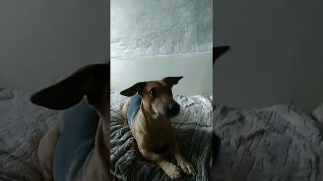 чик чик смотреть онлайн