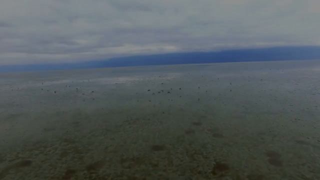 Остров Занзибар ? Пляжи Танзании ? Природа Танзании смотреть онлайн