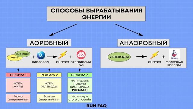 Пульсовые зоны. Аэроб и анаэроб. Пано. МПК (VO2 MAX) смотреть онлайн
