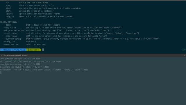 CVE-2019-5736 on PKS 1.3.1 смотреть онлайн