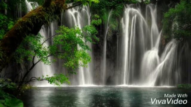 Нашид смотреть онлайн