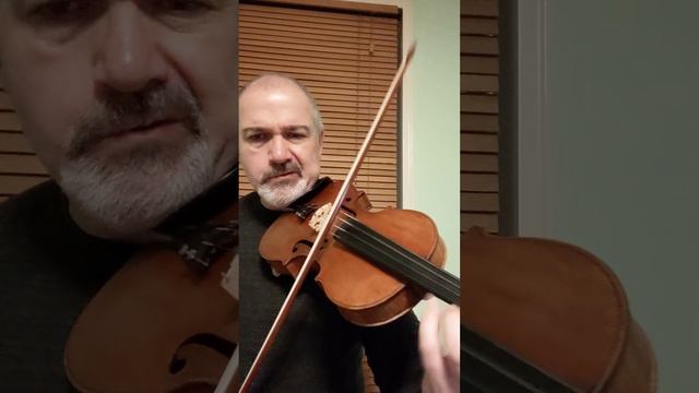 RIGODON - Mr. F. - Violin смотреть онлайн