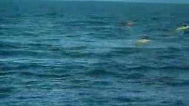 Круть. Касатка накрыла. смотреть онлайн